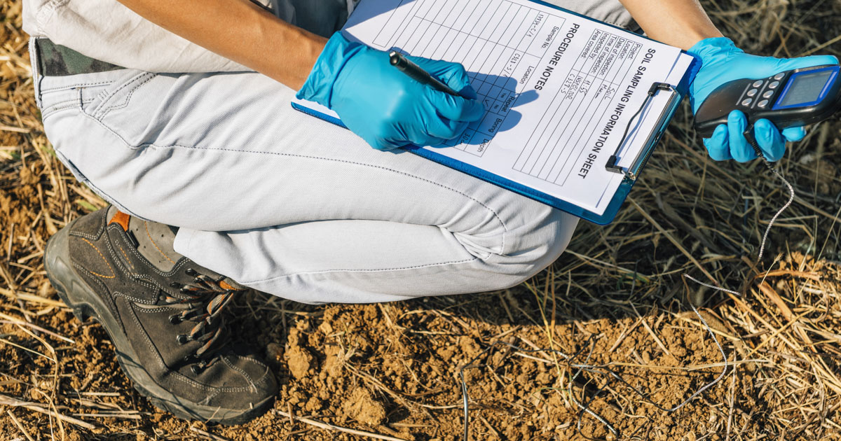Someone measuring soil temperature in a field. 
